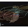  フェネス/オルーク/レーバーグ/マジック＆リターンでDMMアフィリエイトツール