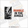  Rumble In The JungleでDMMアフィリエイトツール