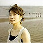  渡辺薫/泳いできてねでDMMアフィリエイトツール