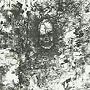INVASION/Discography CD