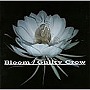  Guilty Crow/BloomでDMMアフィリエイトツール