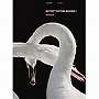  BOYCOTT RHYTHM MACHINEII VERSUS（DVD付）でDMMアフィリエイトツール