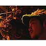  ウッドブルー/ノース・レターでDMMアフィリエイトツール