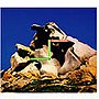  内橋和久＆吉田達也/IMPROVISATIONS 2でDMMアフィリエイトツール