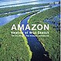  アマゾン（DVD付）でDMMアフィリエイトツール