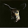  グッドナイト・ナース/キープ・ミー・オン・ユア・サイドでDMMアフィリエイトツール