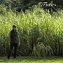  玉木宏/Times...でDMMアフィリエイトツール