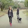  moumoon/EVERGREEN（DVD付）でDMMアフィリエイトツール