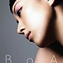 BoA/永遠/UNIVERSE feat.Crystal Kay＆VERBAL（DVD付）でDMMアフィリエイトツール