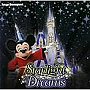  東京ディズニーランド スターライト・ドリームスでDMMアフィリエイトツール