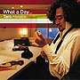  葉加瀬太郎/What a DayでDMMアフィリエイトツール