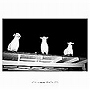  AOKI takamasa/FRACTALIZEDでDMMアフィリエイトツール
