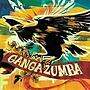  GANGA ZUMBA/GANGA ZUMBA（DVD付）でDMMアフィリエイトツール
