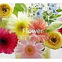  エリザベス・ブライト/FLOWER〜GIFT FOR PIANO MUSICでDMMアフィリエイトツール