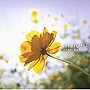  イサオ・ササキ/IL MALEでDMMアフィリエイトツール