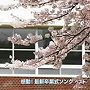  感動！最新卒業式ソング ベストでDMMアフィリエイトツール