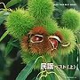  民謡 ベスト（上）でDMMアフィリエイトツール