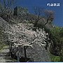  決定盤！吟詠歌謡でDMMアフィリエイトツール