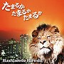 橋本ひろし/たまるか たまるか たまるか