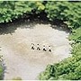  栗コーダーカルテット/遠くの友達でDMMアフィリエイトツール