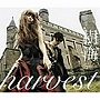  樹海/harvestでDMMアフィリエイトツール