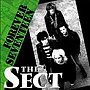 SECT/FOREVER SEVENTEEN