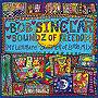  ボブ・サンクラー/SOUNDZ OF FREEDOM-MY ULTIMATE SUMMER OF LOVE MIX-（DVD付）でDMMアフィリエイトツール