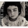  SOPHIA/ALIVEでDMMアフィリエイトツール