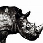 Mr.Children/Mr.Children 1992ー1995