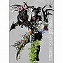  ナイトメア/majesticai parade（初回生産限定盤）（写真集付）（DVD付）でDMMアフィリエイトツール