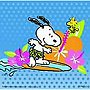  Beach PartyでDMMアフィリエイトツール
