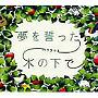 ハラフウミ/夢を誓った木の下で