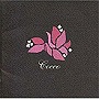  Cocco/ブーゲンビリアでDMMアフィリエイトツール