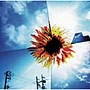  SOUTH BLOW/ShineでDMMアフィリエイトツール