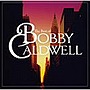  ボビー・コールドウェル/〈おとなBEST〉ボビー・コールドウェルでDMMアフィリエイトツール