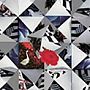  サンタモニカ/キュリオサー・アンド・キュリオサーでDMMアフィリエイトツール