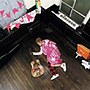  岡平健治/パンクフォーク（初回限定盤）（DVD付）でDMMアフィリエイトツール