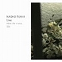  寺井尚子/ライヴでDMMアフィリエイトツール