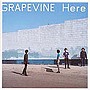  GRAPEVINE/HereでDMMアフィリエイトツール