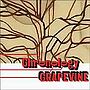  GRAPEVINE/Chronology a young persons’ guide to GrapevineでDMMアフィリエイトツール