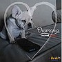  DRAMANIA SECOND SEASONでDMMアフィリエイトツール
