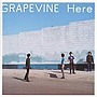  GRAPEVINE/Here（期間限定特別価格盤）でDMMアフィリエイトツール