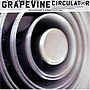  GRAPEVINE/Circulator（期間限定特別価格盤）でDMMアフィリエイトツール