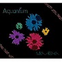  有坂美香/AquantumでDMMアフィリエイトツール
