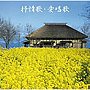  決定盤！！「叙情歌・愛唱歌」ベストでDMMアフィリエイトツール