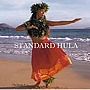  決定盤！！「スタンダード HULA」ベストでDMMアフィリエイトツール