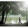  カーラ・ブルーニ/コム・シ・ド・リアン・ネッテでDMMアフィリエイトツール