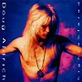  ダグ・アルドリッチ/ハイセンタードでDMMアフィリエイトツール