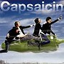  ししとう/CapsaicinでDMMアフィリエイトツール