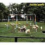  ジャズインパーク/JAZZIN’ PARKでDMMアフィリエイトツール